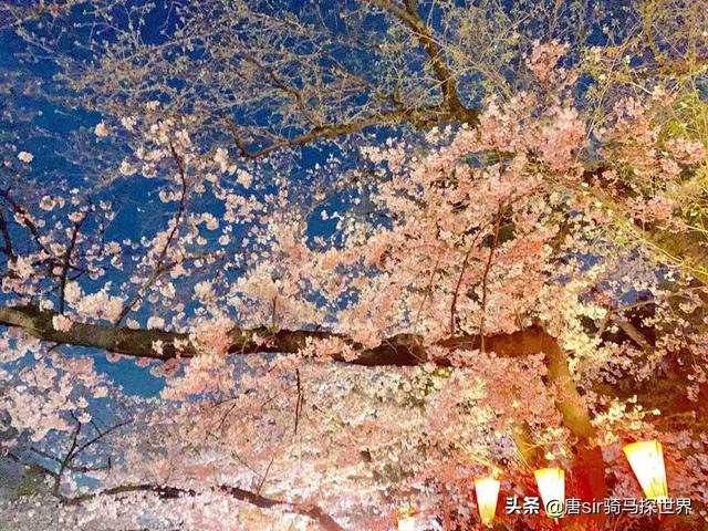 日本第二大城市，日本发达城市有哪些（却不是奢靡的歌舞伎町）