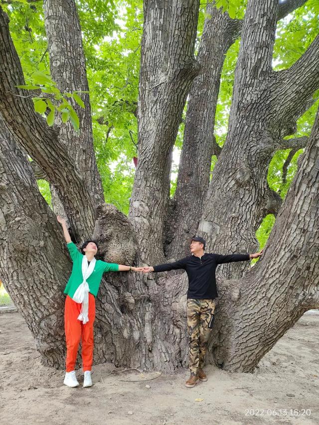 自驾游路线，自驾游路线哪种品牌的好（115天环驾中国35000公里）