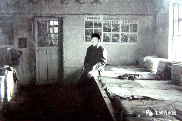 梁晓声全部作品，梁晓声代表作有哪些（梁晓文《我眼中的二哥梁晓声》《梁晓声的北大荒往事》）