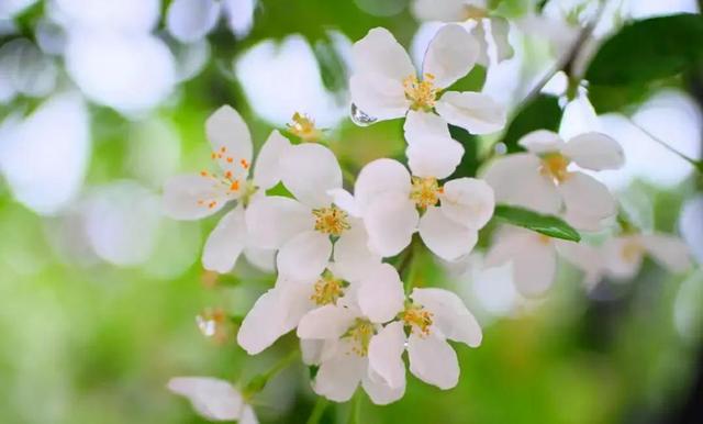 下旬指的是什么时候，下旬指的是几号（为啥谷雨在“月尾”会不好呢）