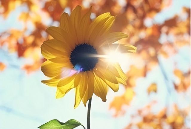 睡前发的句子朋友圈，适合在睡觉前发朋友圈的句子（睡前简短精辟的一句话）