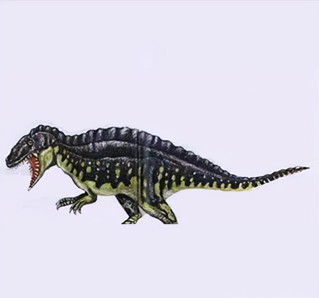 恐龙图片大全大图，画恐龙图片大全大图（画恐龙怎么画）