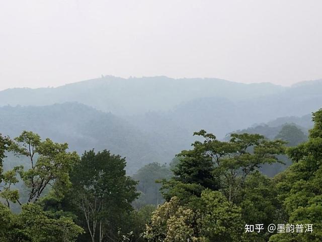 带有茶字的词语，与茶字有关的词语（茶的这些雅称）