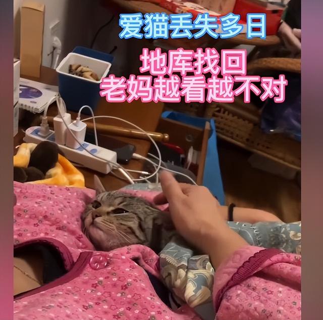 如何寻找相同的图片，如何找到相同图片（网友：这长得也太不一样了吧）