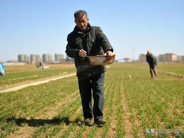 下雨的农谚或俗语，关于下雨的农谚或俗语有哪些（“最怕正月二十淋”）