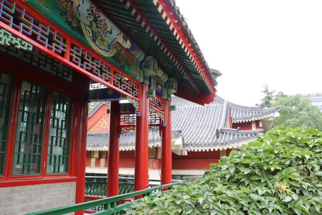 红楼梦精彩语句，红楼梦14句经典语录（《红楼梦》最经典8句话）