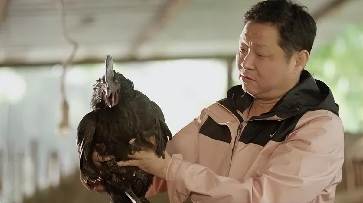 三德子赵亮养鸡公司(娶1米8超模,带领288户农民脱贫) 