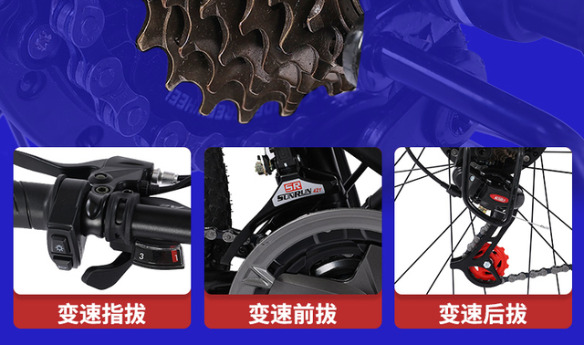 电动自行车价格及图片，大众电动车价格及图片大全（凤凰FH电动自行车测评）