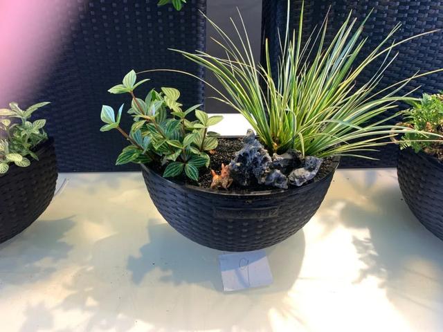 除了花艺沙龙，三八节的这几类沙龙新颖别致，前景可观
