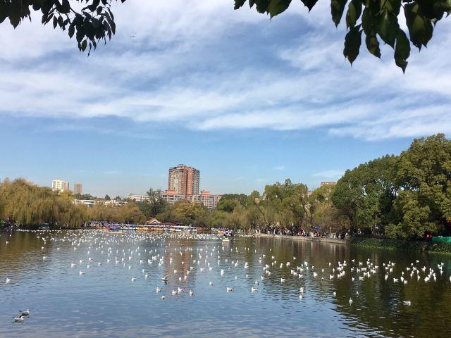 昆明一日游最佳景点一览表，昆明32个最适合一日游的免费景点（四季如春的昆明很适合旅游）