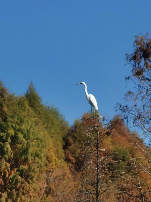 昆明旅游攻略一日游，昆明旅游攻略一日游路线（昆明一日游）