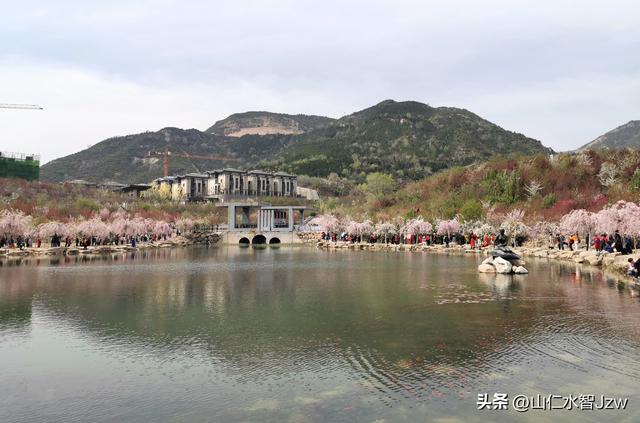 玉泉山樱花节午饭在哪里吃合适，2021-04-15