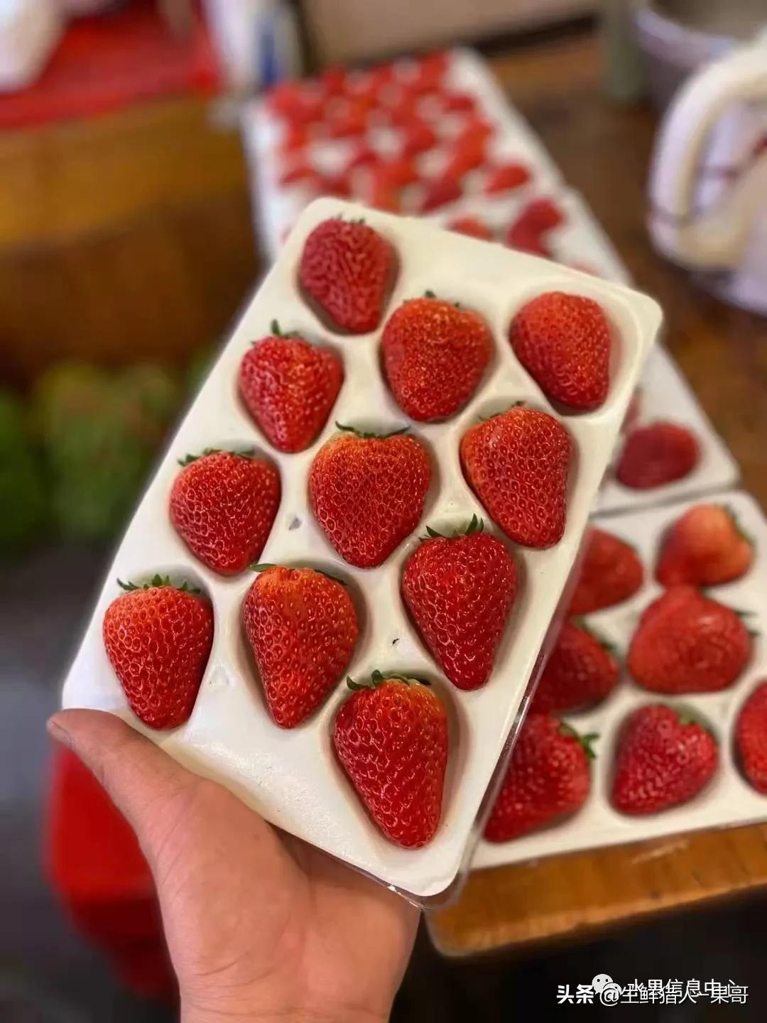 浆果是什么，浆果是什么软件（不同水果的不同包装<浆果篇>）