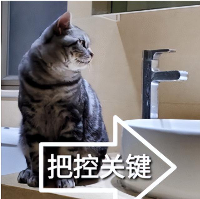 江苏高考查分时间，江苏高考查分用什么软件_江苏高考查分网_江苏高考查分电话（2022年各地高考查分时间公布）