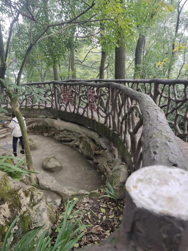 歌乐山森林公园，重庆旅游必去景点（歌乐山国家森林公园）