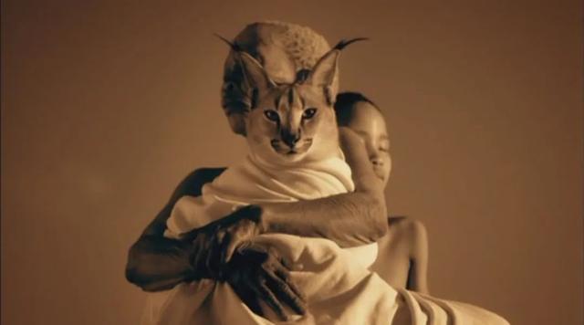 难以忽视的真相观后感，难以忽视的真相2观后感（为何如此根深蒂固）