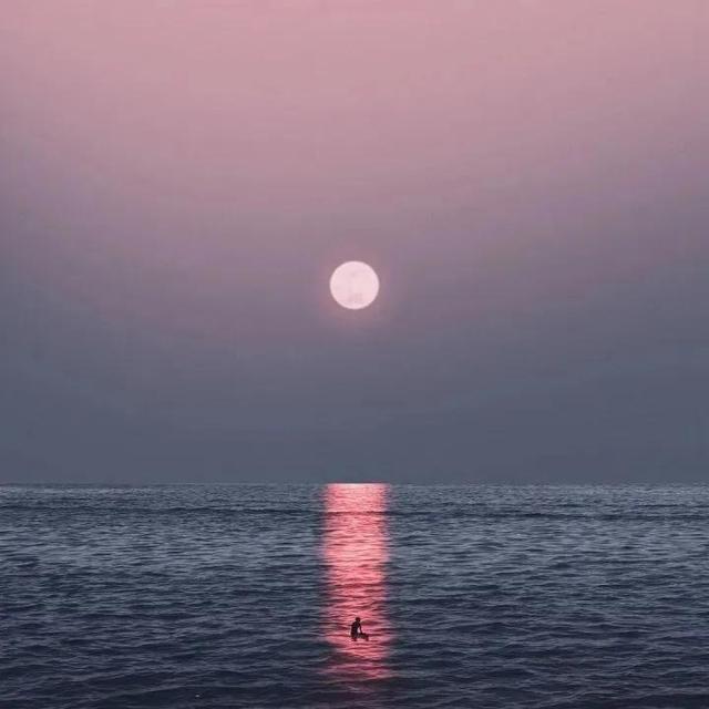 兮颜女生头像微信，兮颜女生头像（不甘平凡却平凡至极）