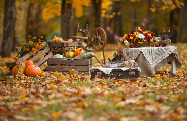 强碱性食物有什么，建议少碰“寒物”