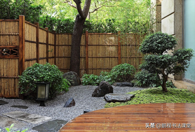 梦见植物是什么征兆，干货丨植物寓意篇
