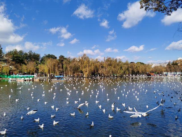 昆明一日游最佳景点一览表，昆明32个最适合一日游的免费景点（四季如春的昆明很适合旅游）