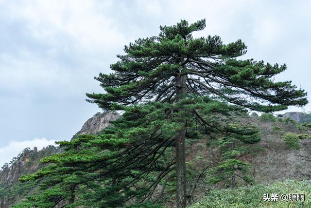 去安徽黄山尽量避免爬山攻略，超详细黄山避坑指南