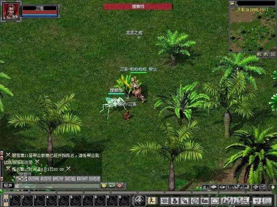 人气最高网络游戏，七月人气最高3D美人还记得朕么（盘点2004年国内老网游网名）