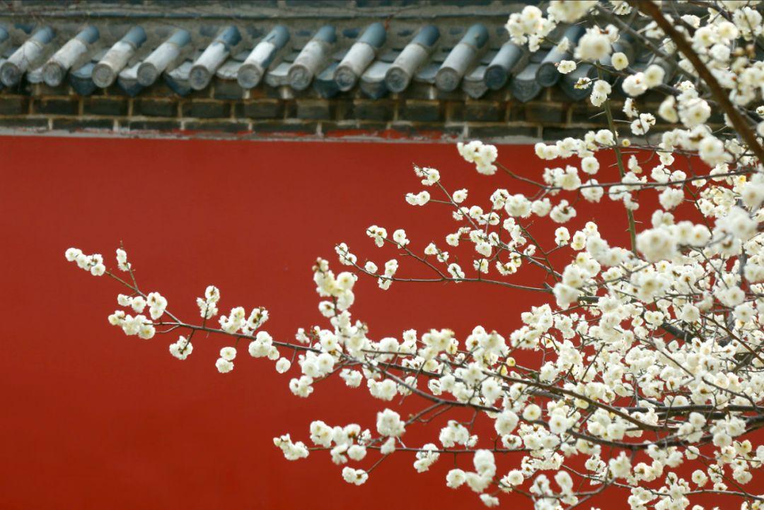 荣成风景区有哪些，荣成周边景点（来荣成这些打卡景区景点采撷好春光）