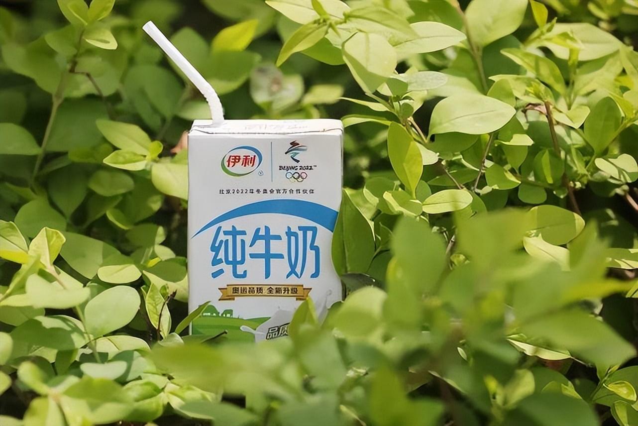 瓦赫宁根大学（半年营收635亿）