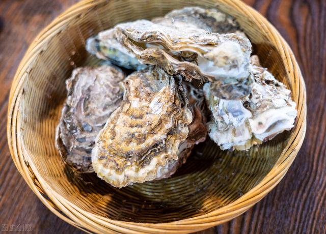 海蛎子和生蚝的区别，牡蛎和生蚝的区别是什么（海蛎子和生蚝有何区别）