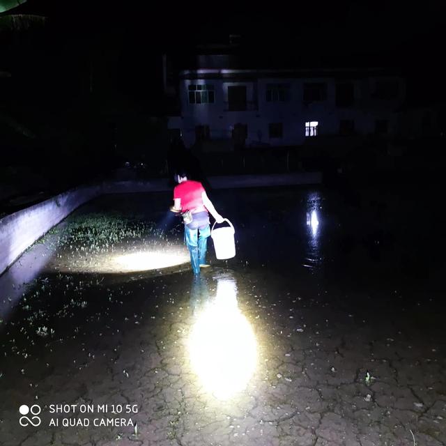 黄鳝放桶里养可以活多少天（夫妻俩只有晚上去夹黄鳝）