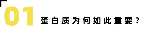 怀孕20周胎儿发育情况都有什么，怀孕20周胎儿发育情况都有什么变化（孕妇每天需要多少蛋白质）