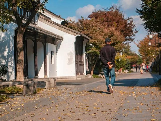 苏州旅游攻略，苏州旅游攻略必去景点推荐一日游（这10种玩法不可错过）