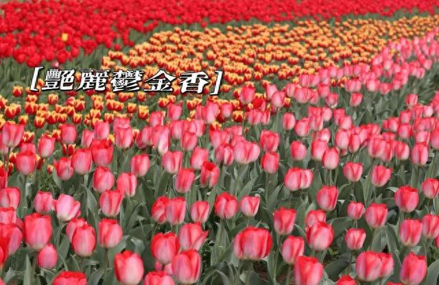 郑州郊游好去处