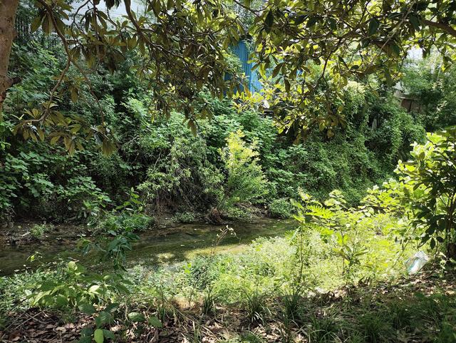 走呀,走呀,京山的鸳鸯溪玩水去