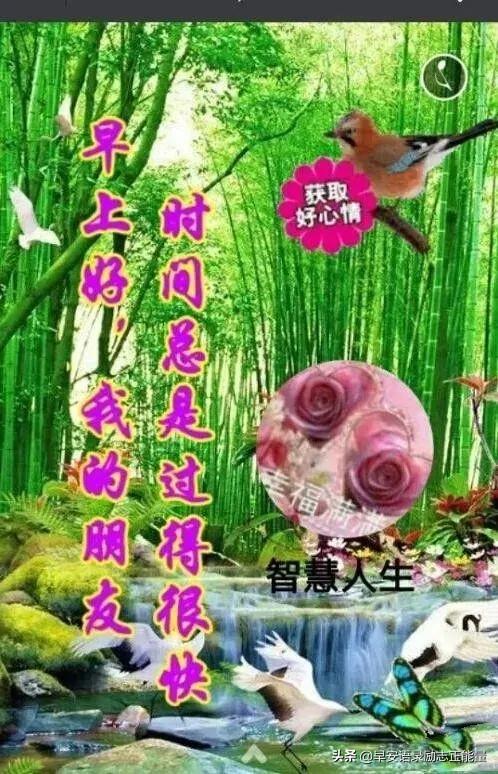 抖音语录经典语录，抖音上的说说经典语录（正能量早安发朋友圈的句子）