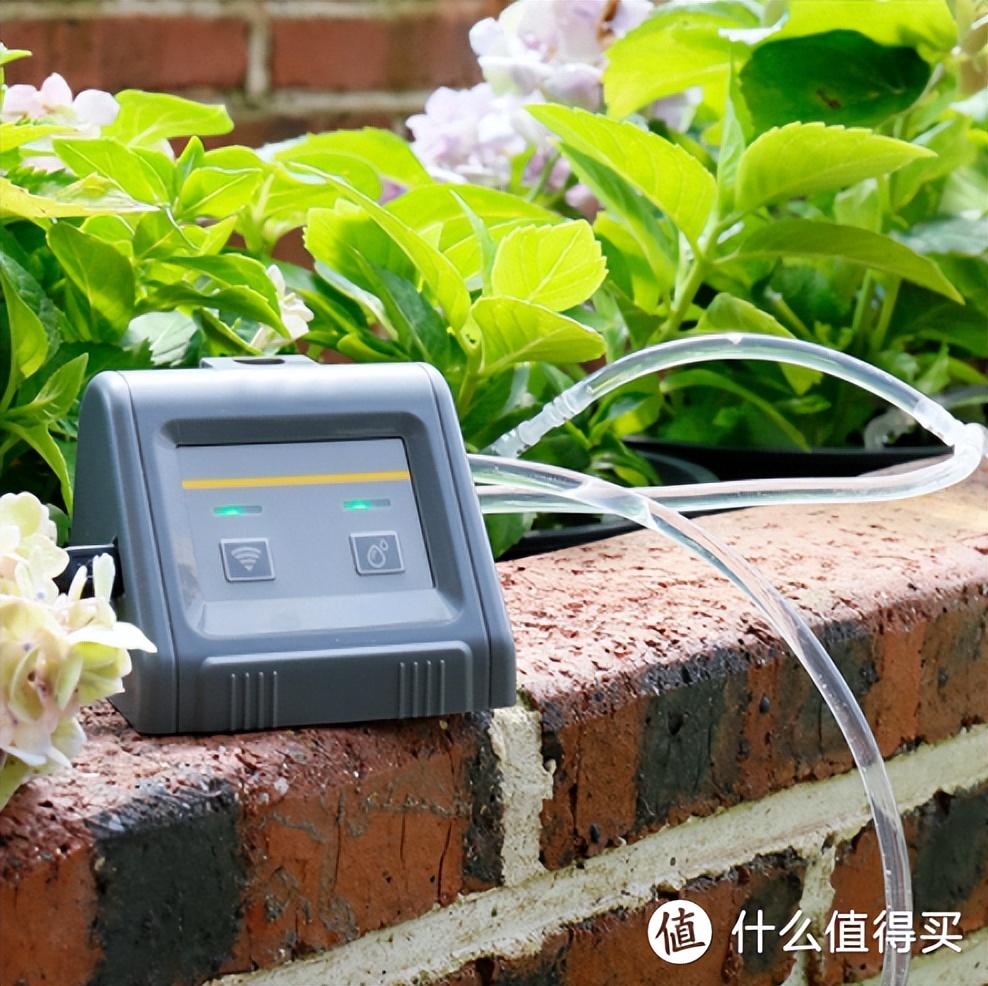 便宜手机专卖店(手机在哪个网站买是正品)