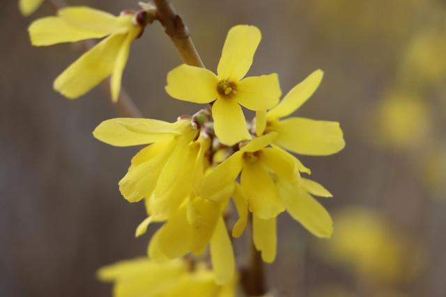 关于告别夏天的句子唯美，关于告别夏天的句子唯美英文（<外两首>作者/卢春风）