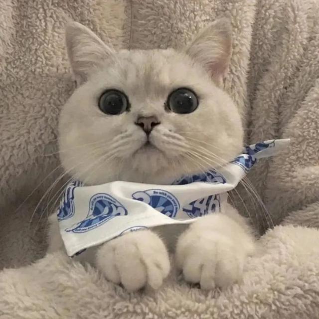 情侣网名二字简约，简约的二字情侣网名   她心|他城微信昵称（怎么不算是好的情侣网名呢）