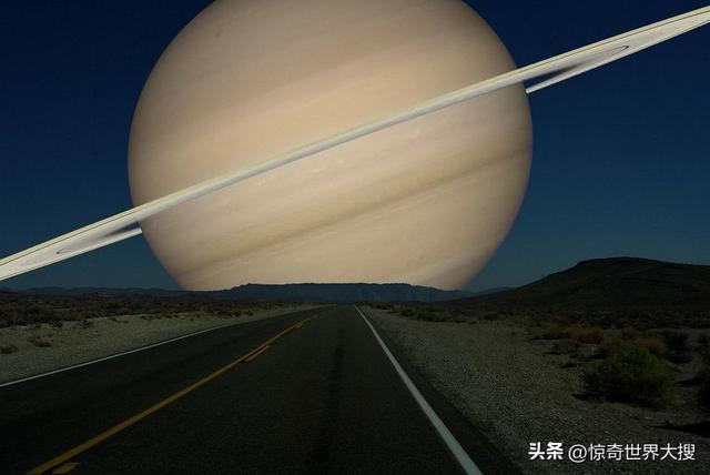 世界上最大的熊，世界上最大的熊是什么熊（25个比你想象中要大的巨物）