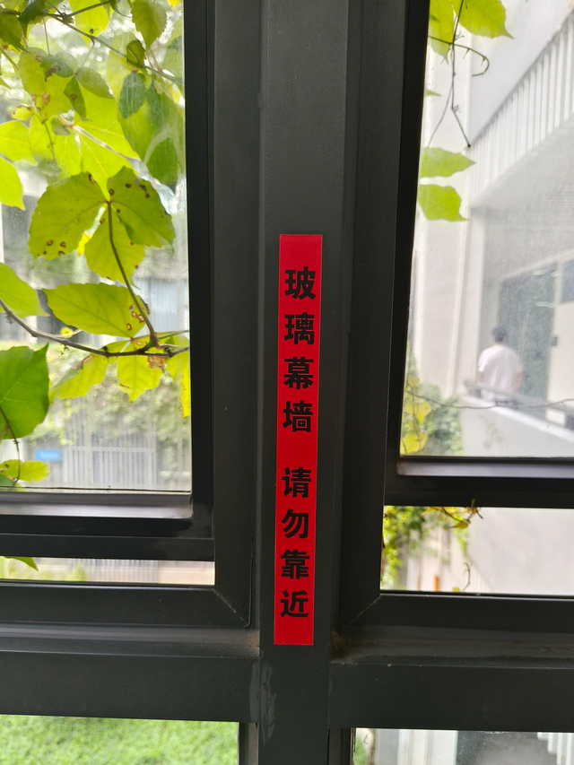 vivo手机删除照片恢复，vivo手机删除的视频怎样才能恢复回来（它本应叫作X80青春版）