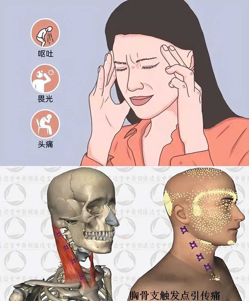 耳朵里面疼的原因，耳朵里面痛是怎么回事（“痛点”——所有疼痛的来源）