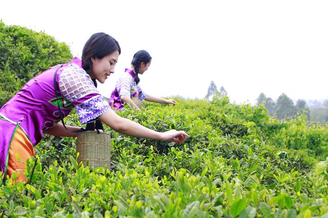 声情并茂下一句怎么说，形容声音美妙动听的成语（让我一生一世）