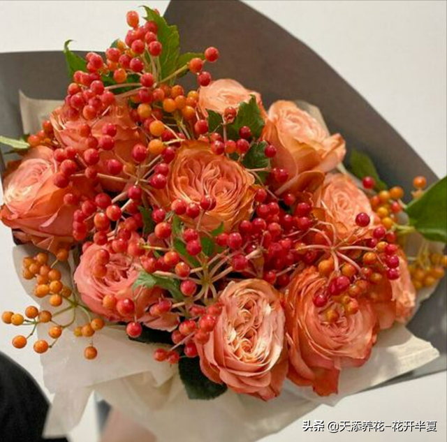 11朵玫瑰代表什么意思，十一朵玫瑰代表什么意思（不同颜色玫瑰花代表含义是什么）