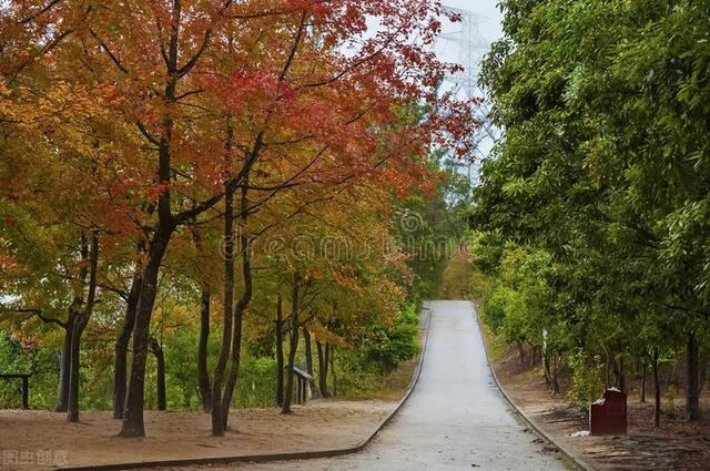 铜锣湾有什么好玩的，铜锣湾好吃的地方（香港回归25周年）