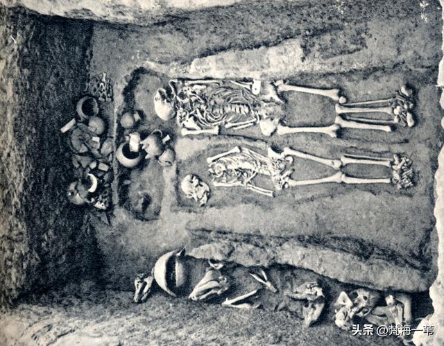 什么是家家的真正定义，什么是家,家的概念（“家”字里头为什么是头猪）