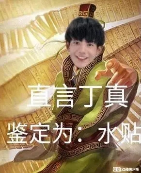 丁真是什么梗，丁真是什么梗雪豹（品鉴汉语言博大精深的魅力）