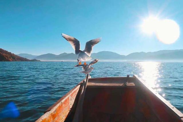 最浪漫的地方，国内浪漫的旅游地方（国内最浪漫的10个甜蜜旅行圣地）