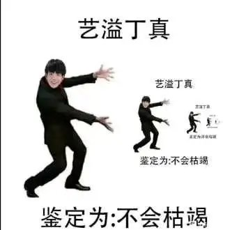丁真是什么梗，丁真是什么梗雪豹（品鉴汉语言博大精深的魅力）