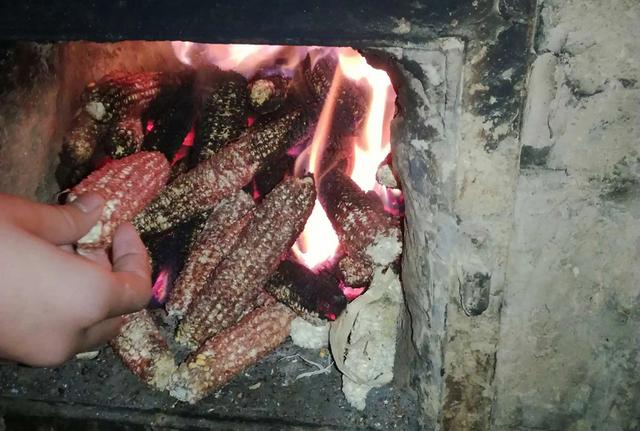 玉米芯有什么用途，玉米芯可作饲料预混料（不少人去农村收购）