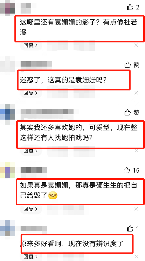 袁姗姗整容成功吗，袁姗姗晒原相机怼脸自拍